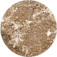 Granite Brown Persa